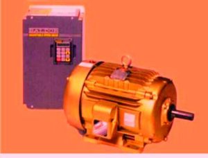 single phase induction motor