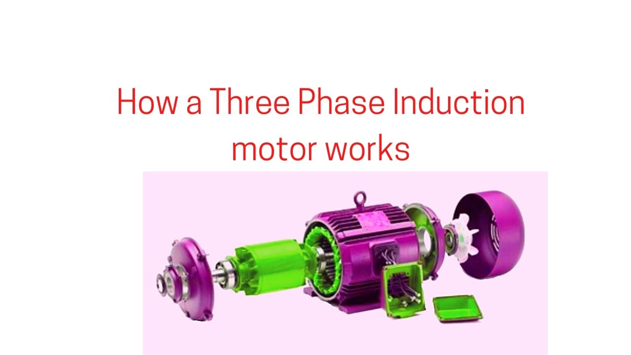 three phase induction motor
